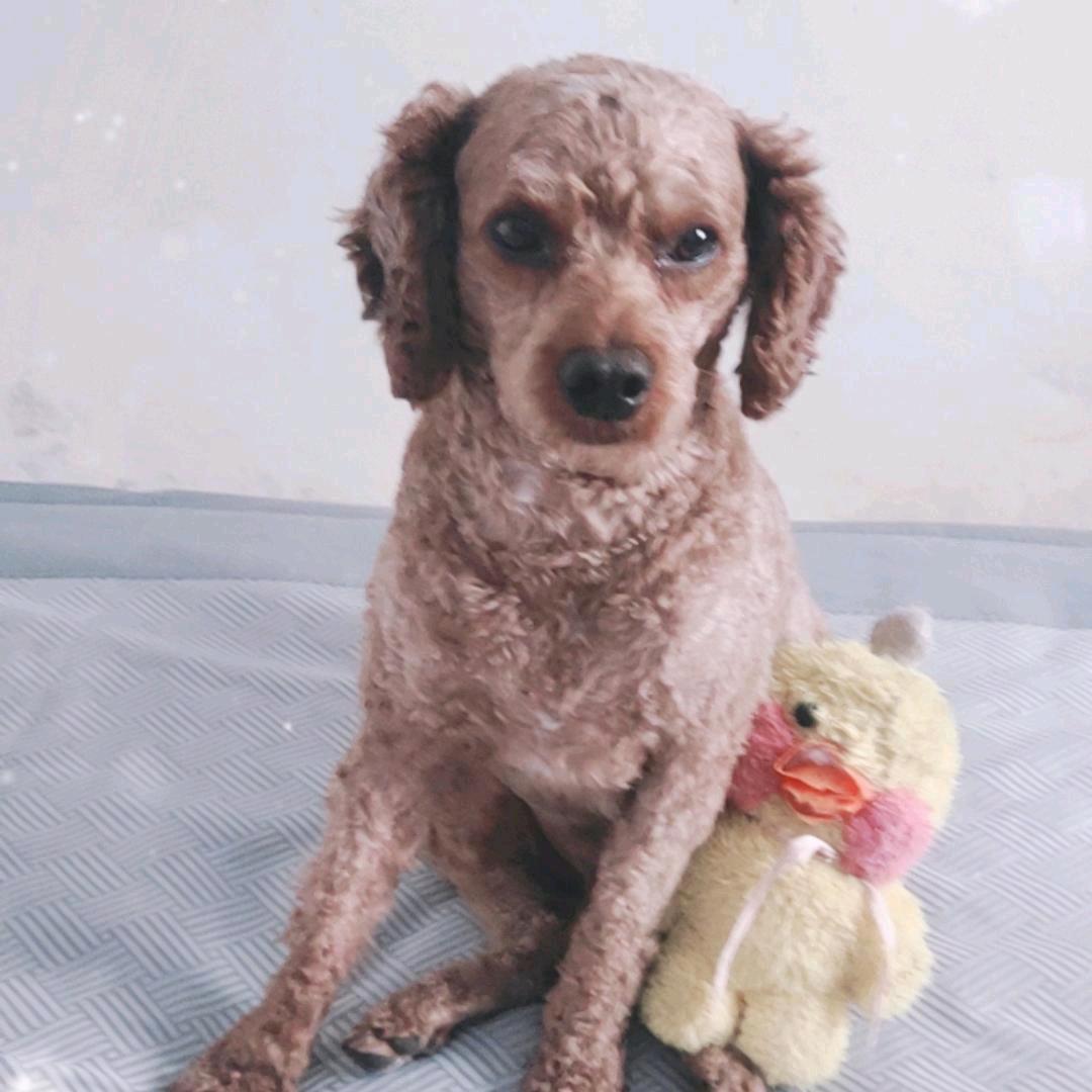 希望明天更美好