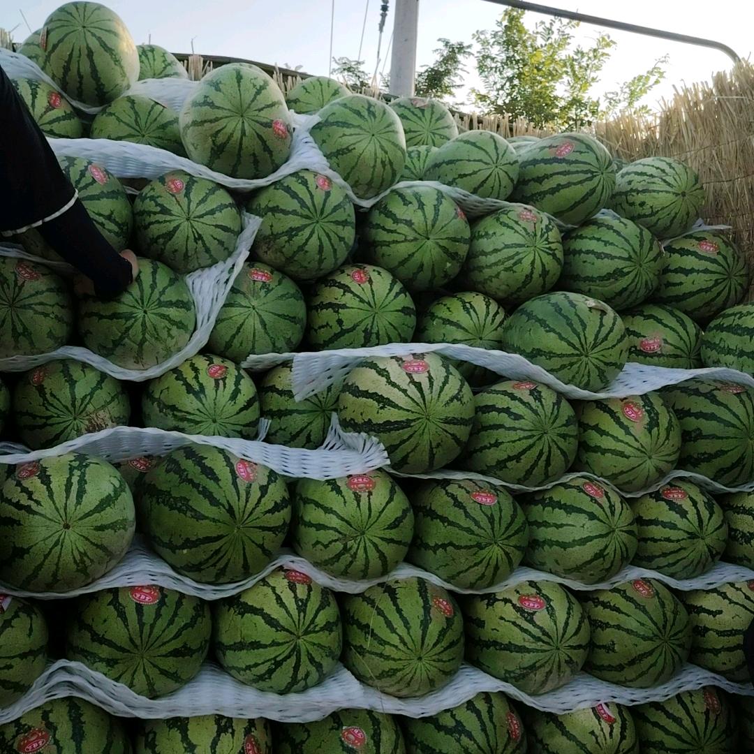 宁夏胡林硒砂瓜代购代发