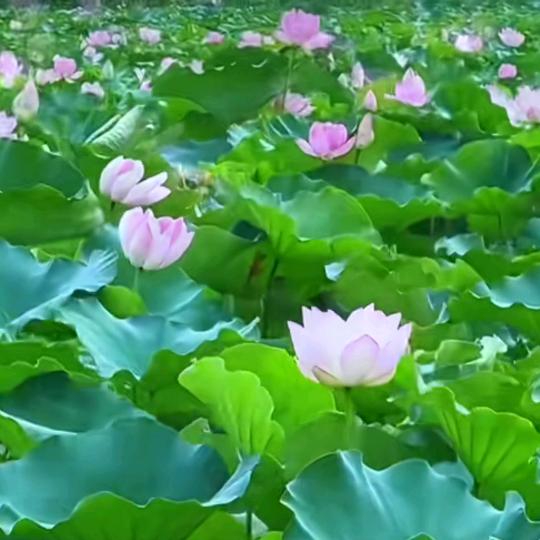 莣♥忧