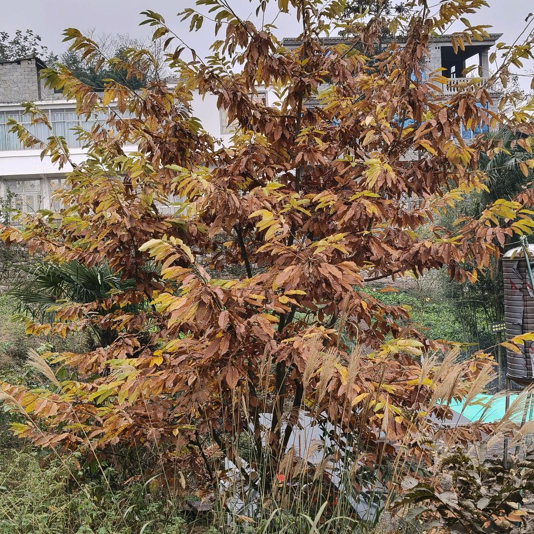 乖乖(>_<ξ( ✿＞◡❛)