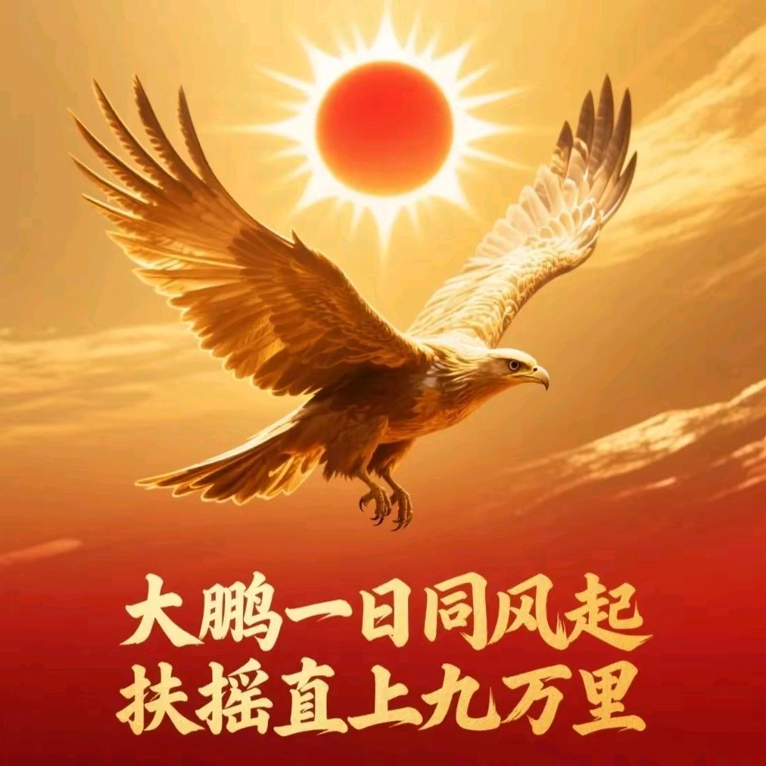 南湖杨勇