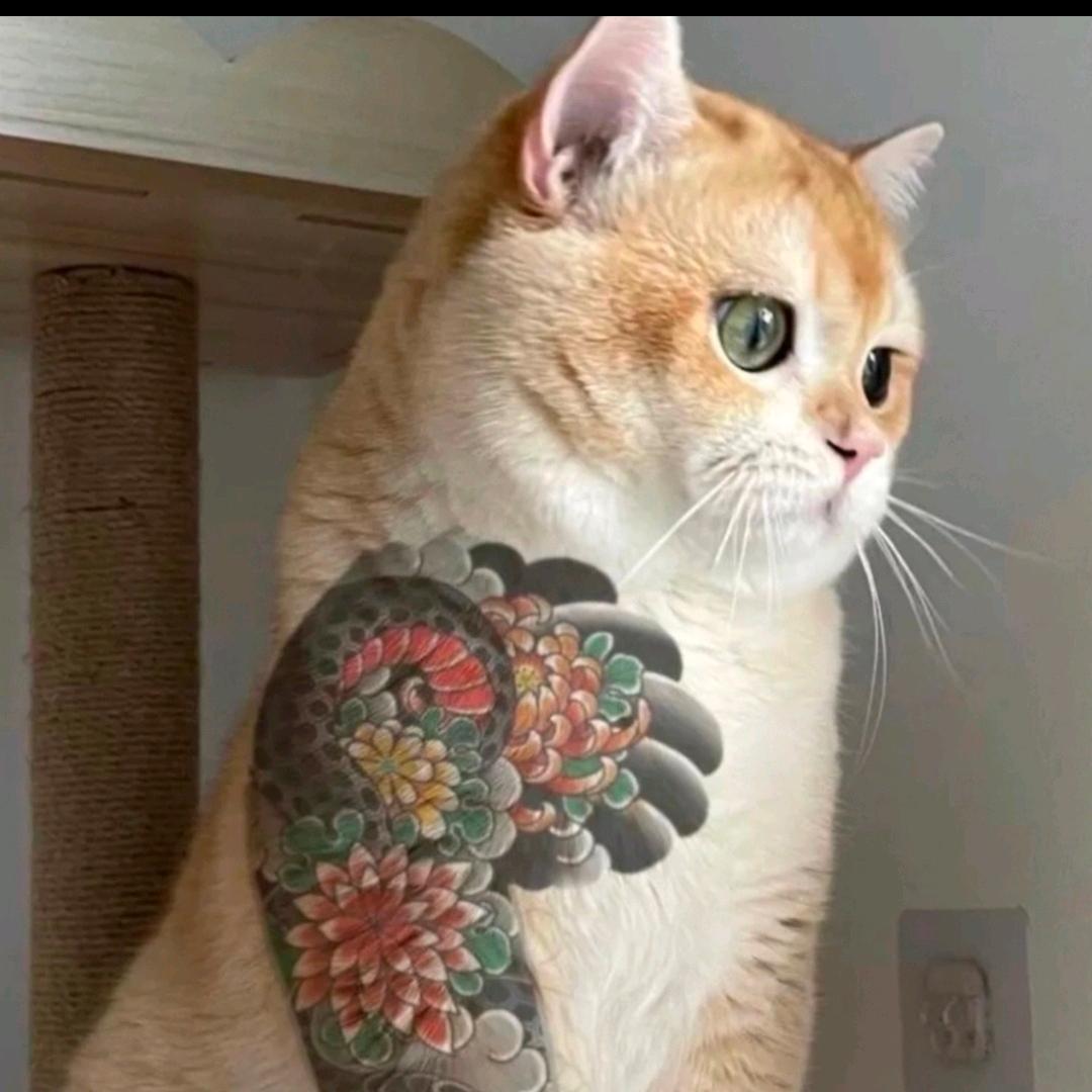 小志游戏