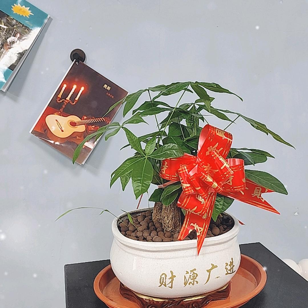 唱歌不停（冲1000的粉丝）