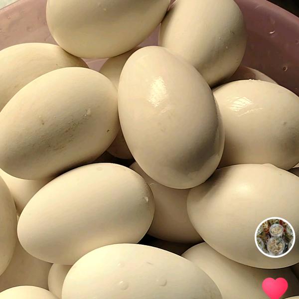 阿霞《老家土特产》