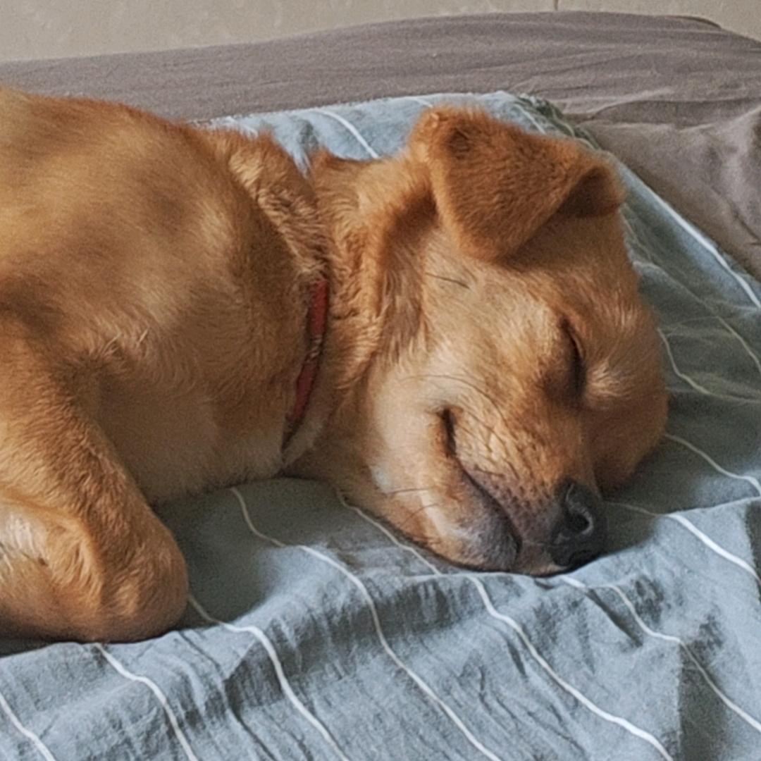 铁锹战神王老七