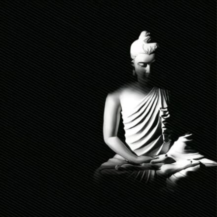 混过社会卖过萌