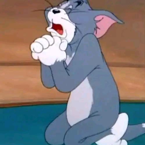 蒜鸟蒜鸟都不涌易