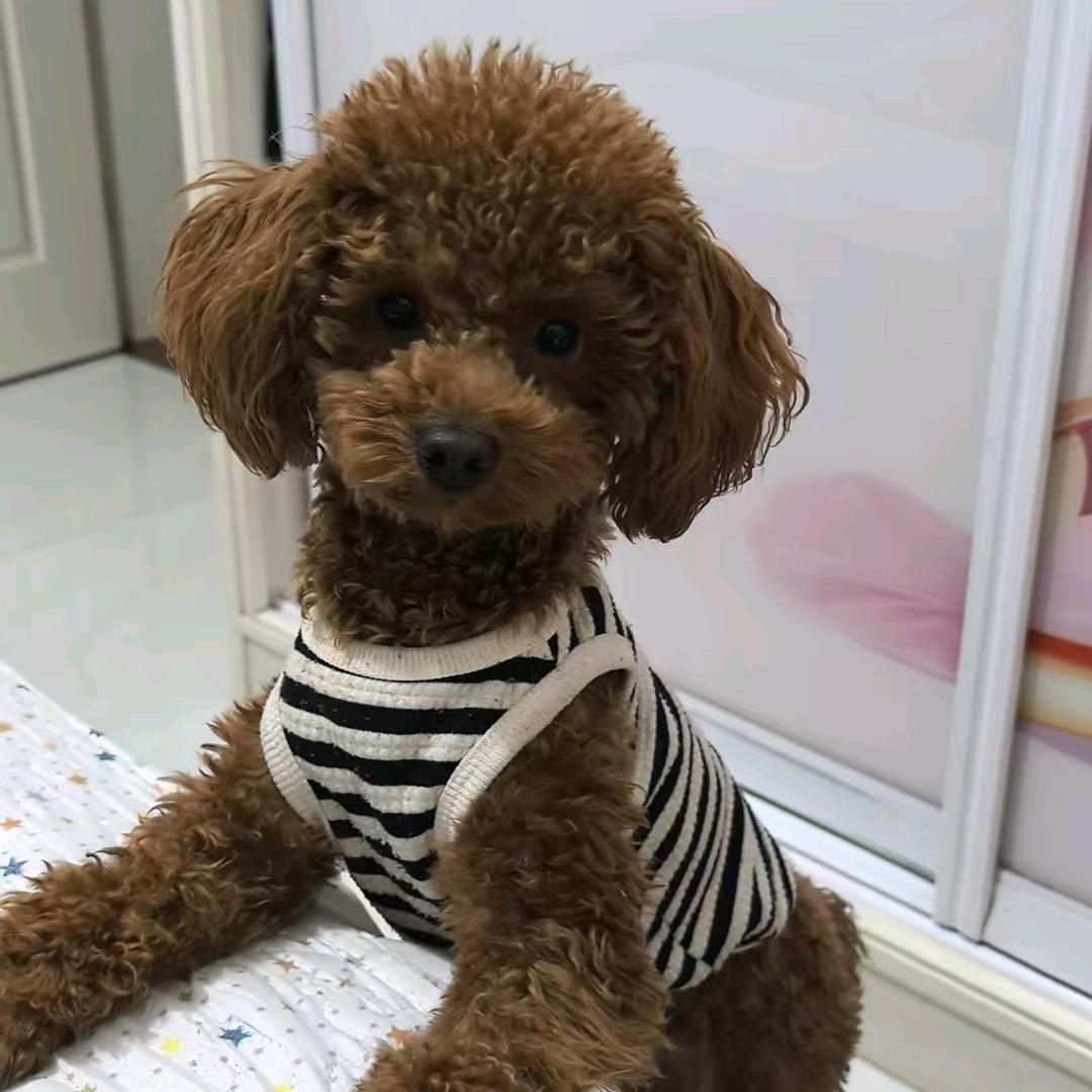 ꧔ꦿ餘℘生隨᭄ᩚ꯭ᩚ心꧔ꦿ᭄