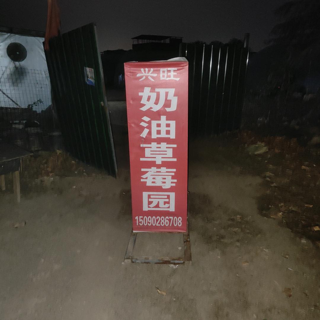 兴旺草莓蔬菜采摘园