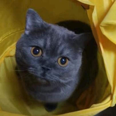 怎么还要学数学