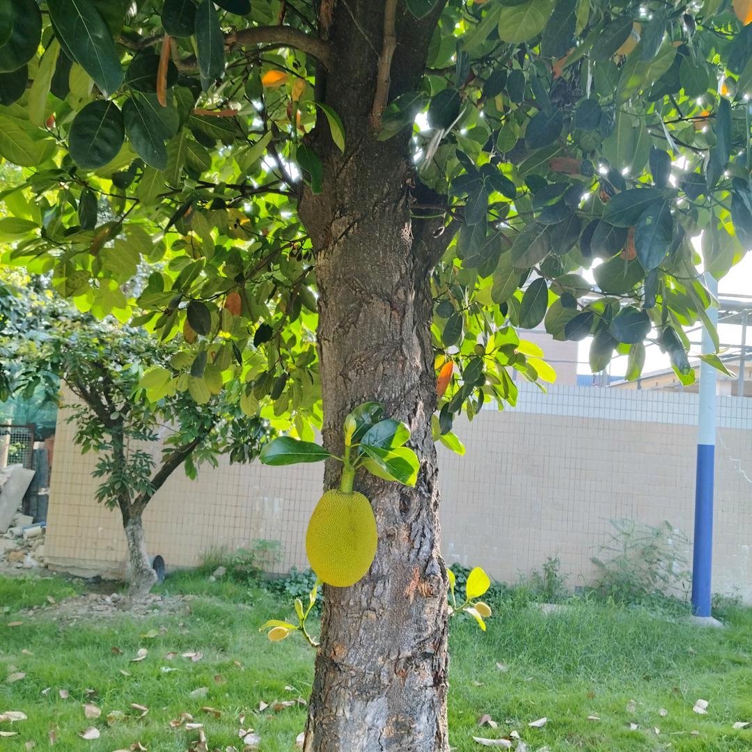 红歌点歌台