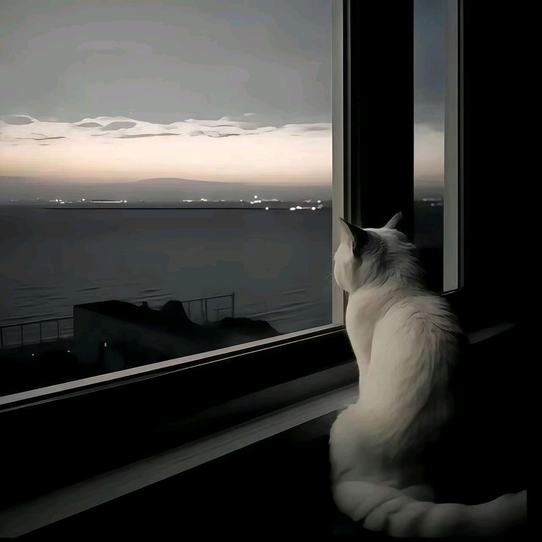 灏寒