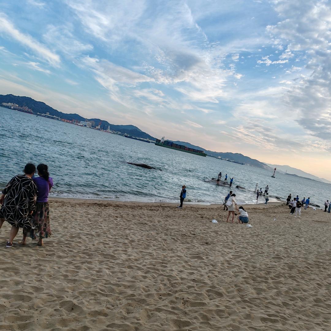 心若向阳