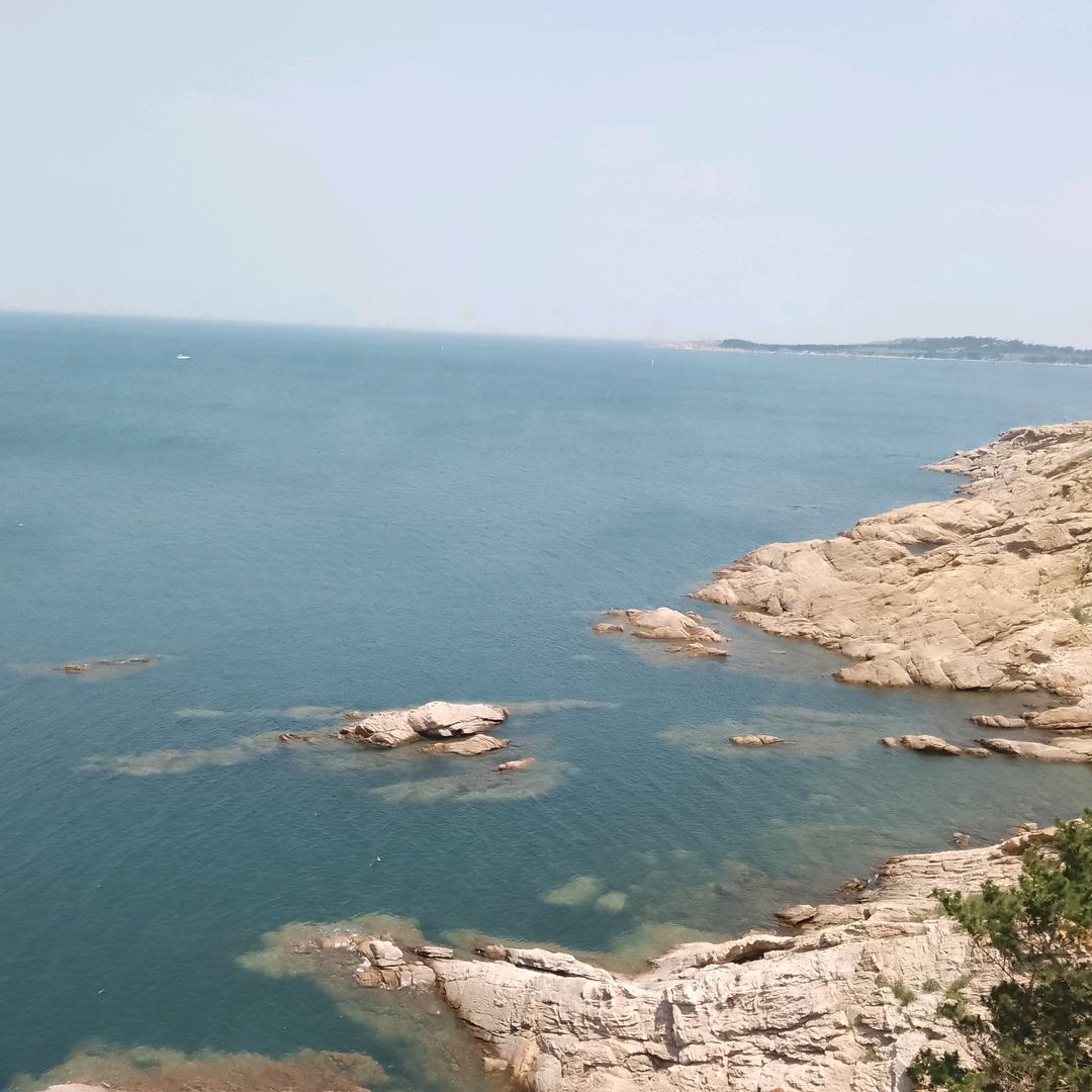 回到从前，林涛