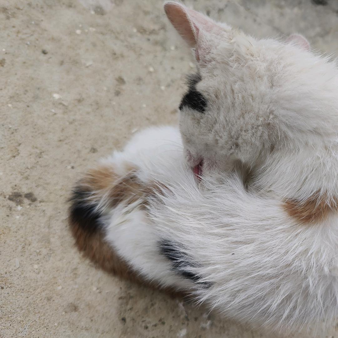 未来❤不可得