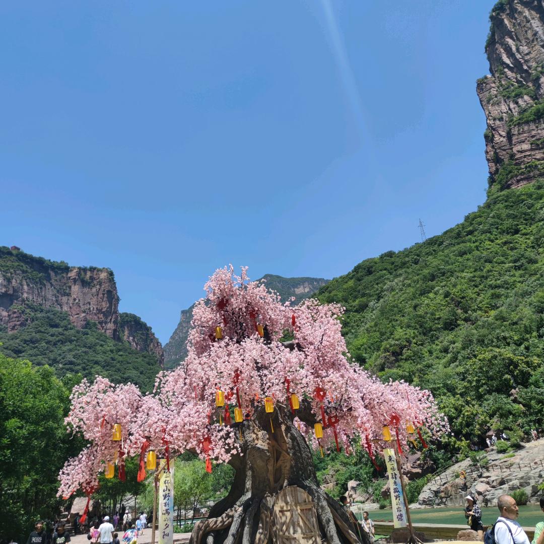 余生🌈随心