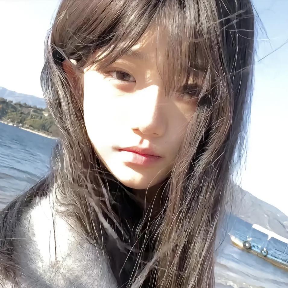 ^榆木.🍁头像