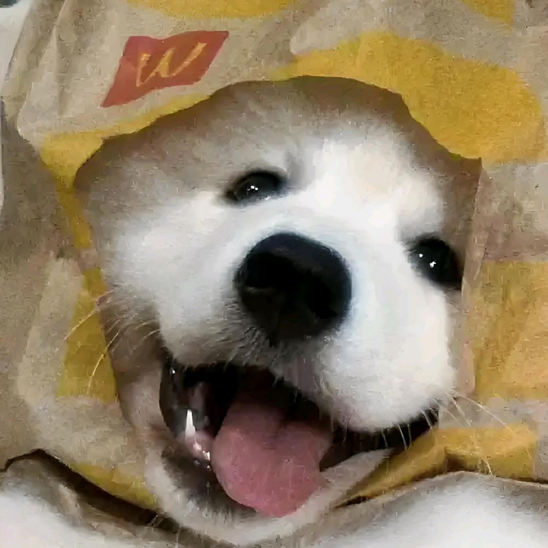 小白QaQ