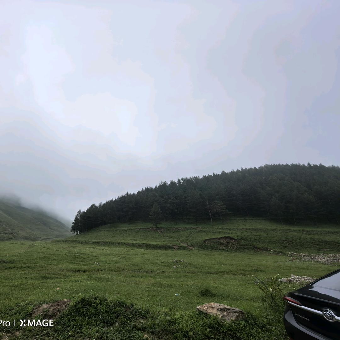 心宽無䖏不桃源