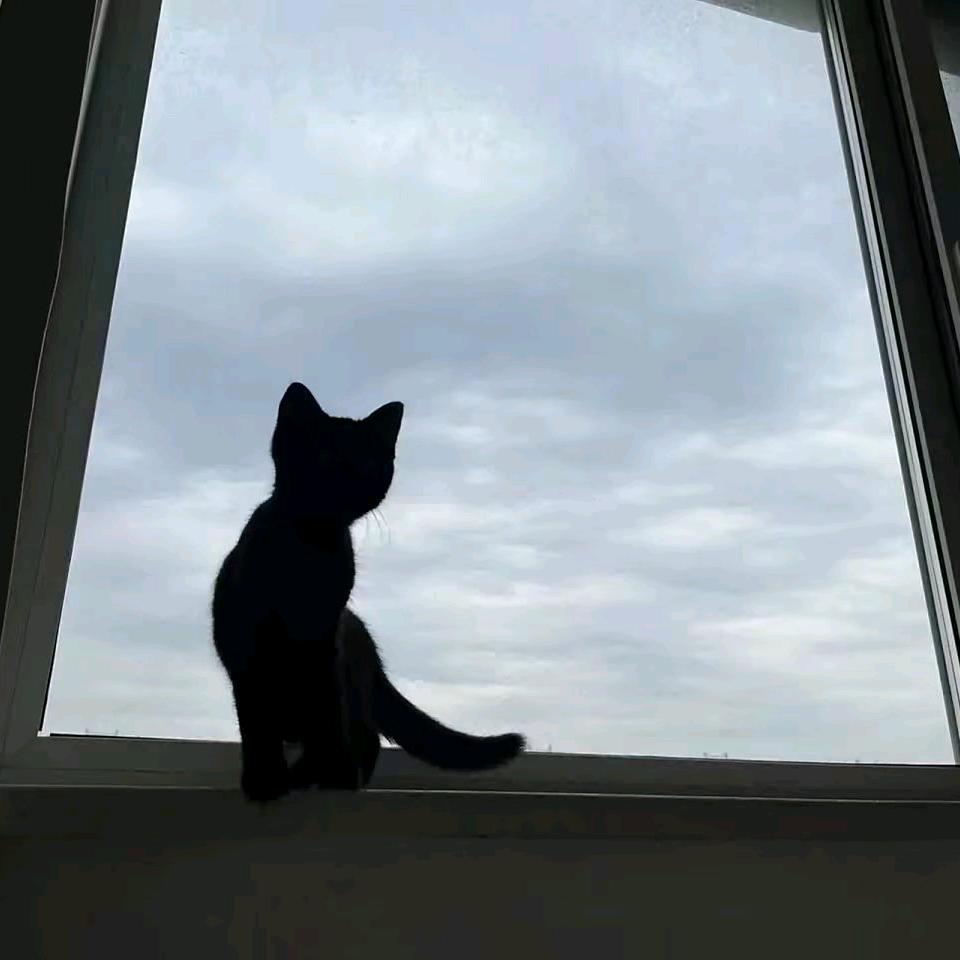 扶弦