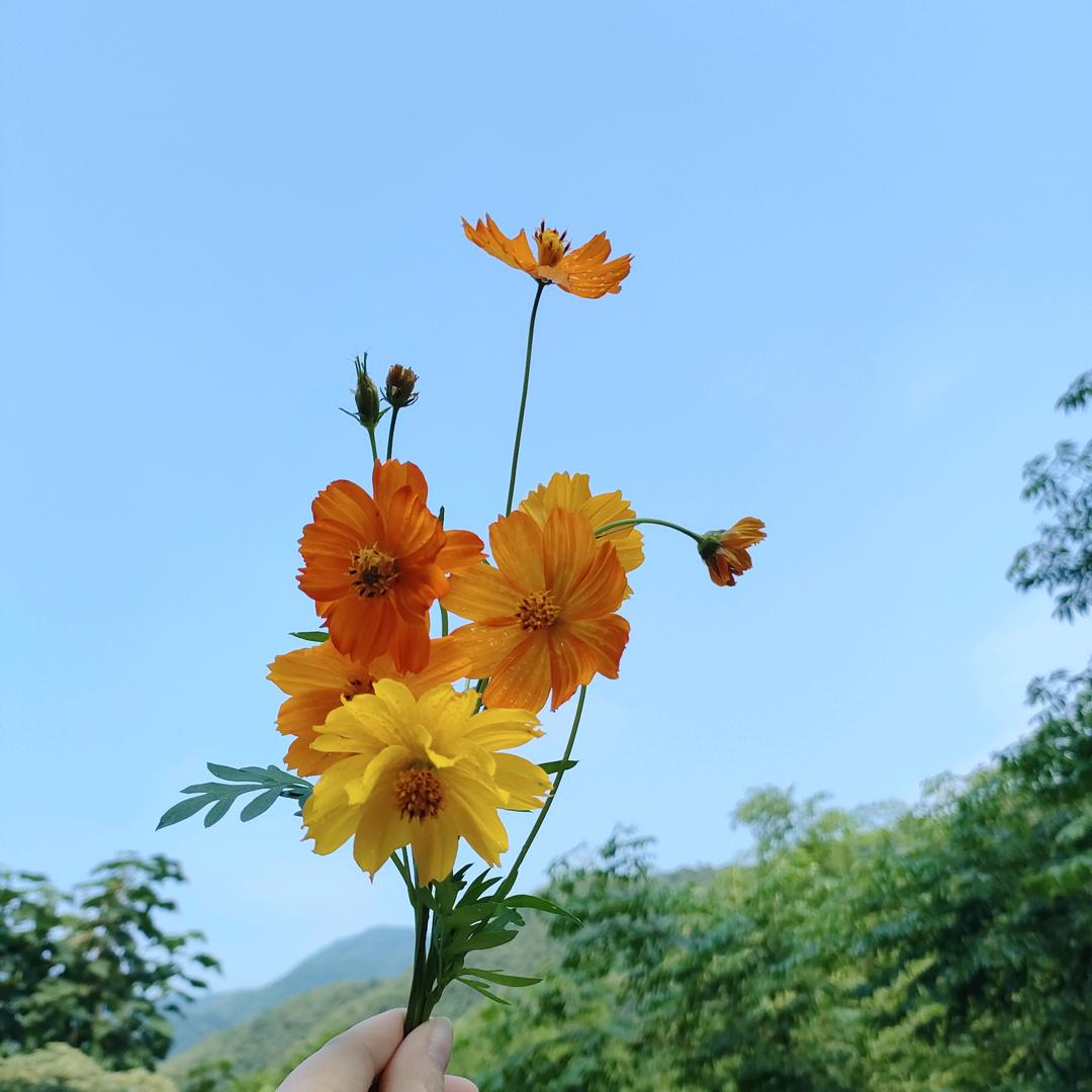 好运