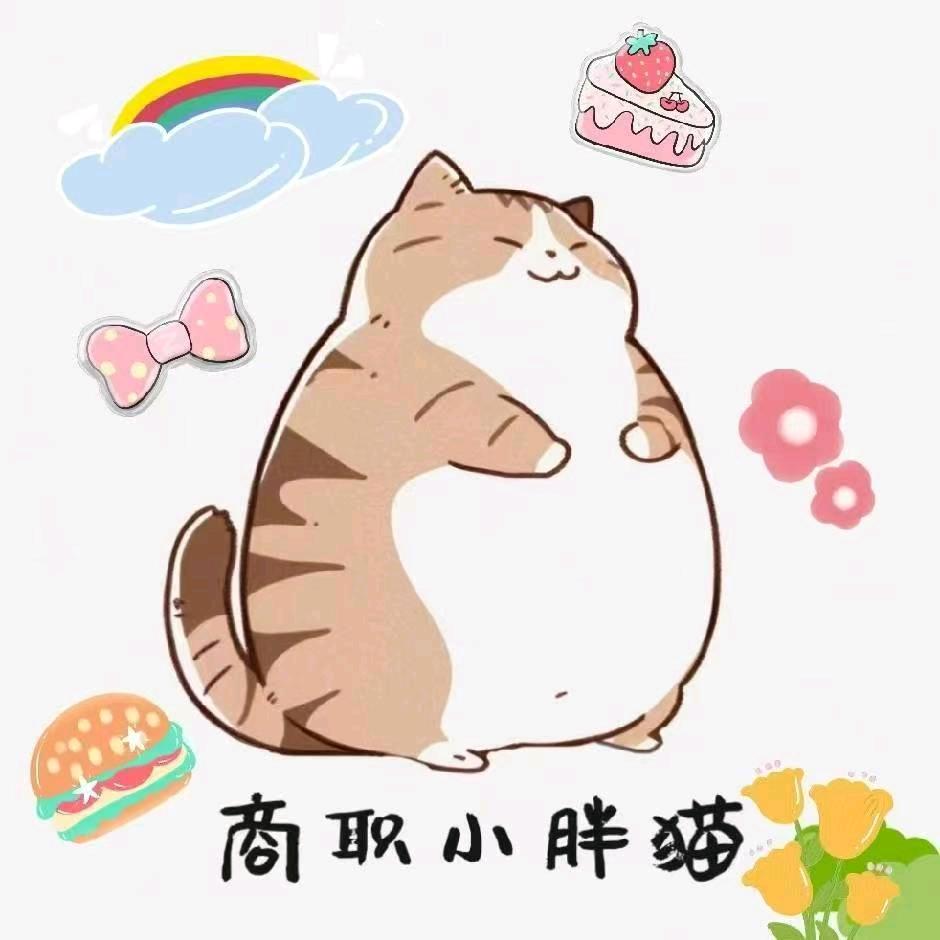 浙商院小胖猫