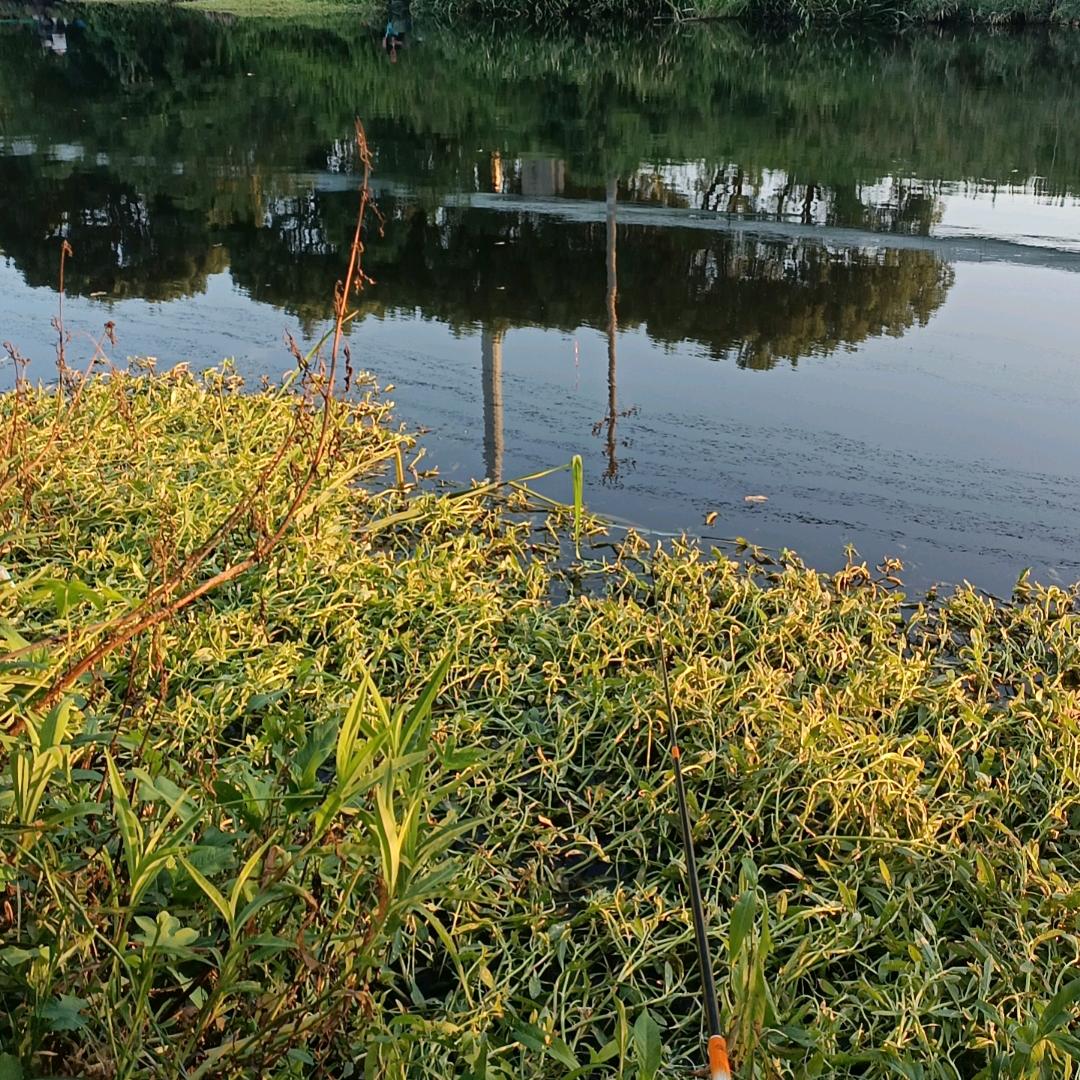 🌈好忽悠✨✨✨