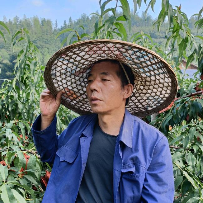 老杨头（炎陵黄桃）