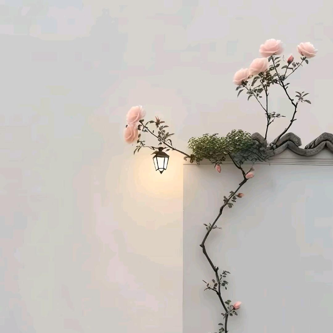 师缘驾校报名学车