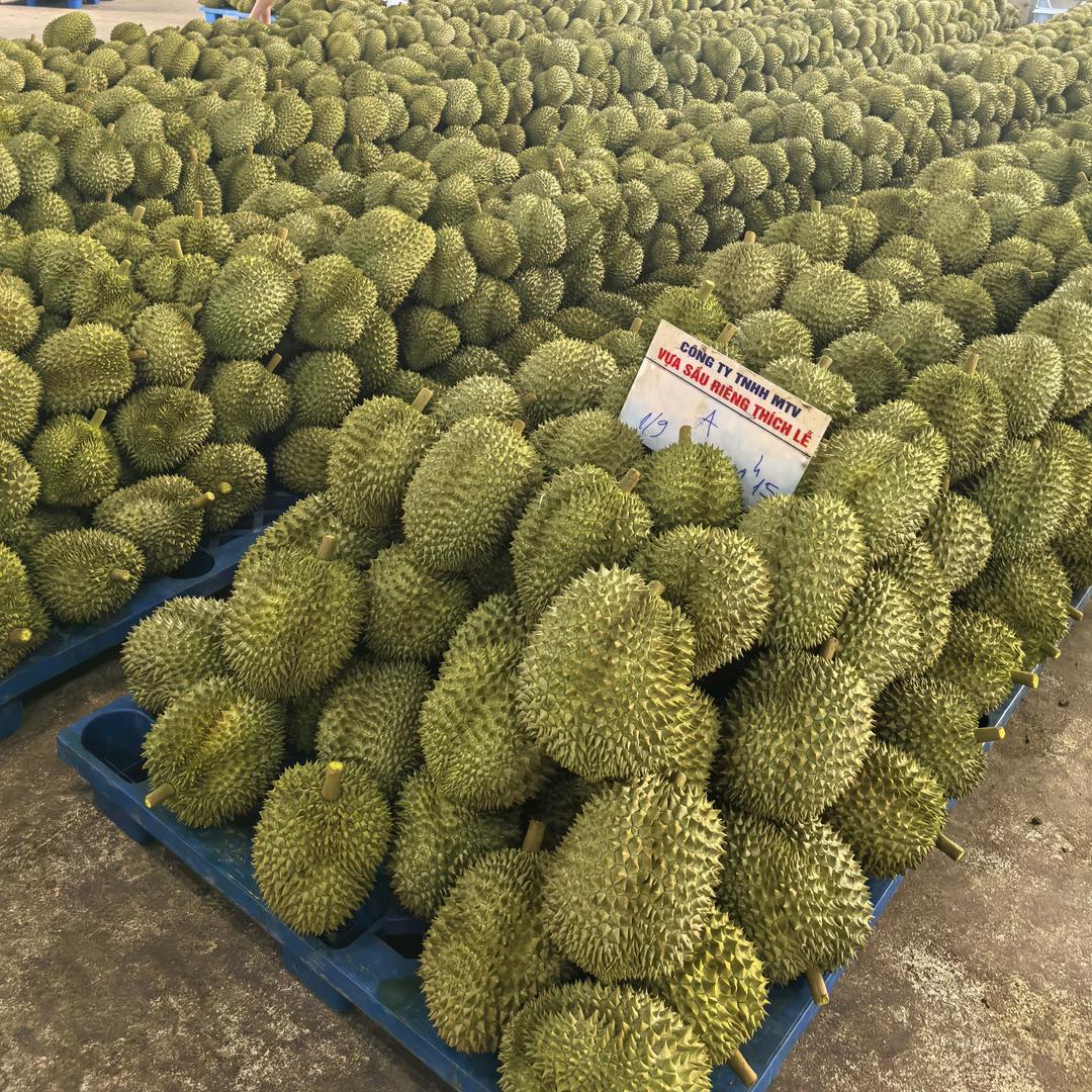 赞赞