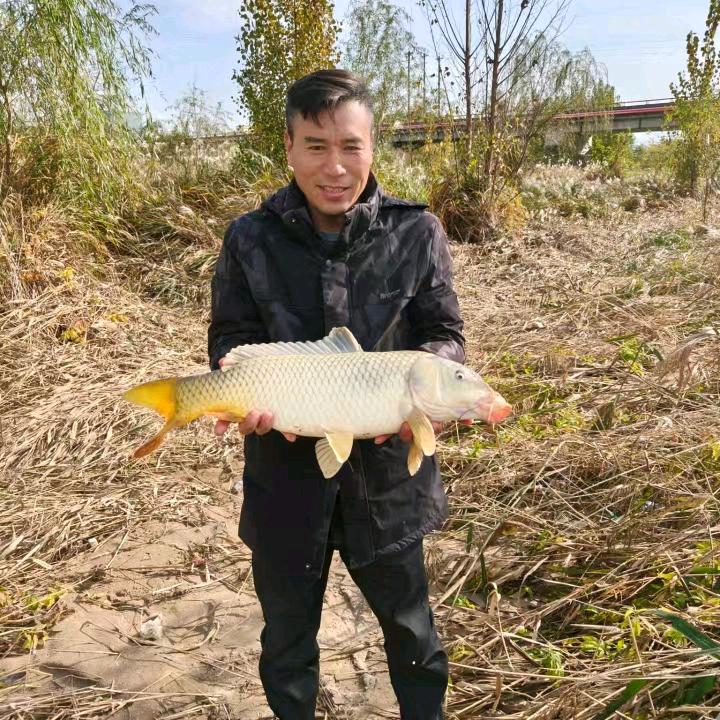 “云”永在心间*