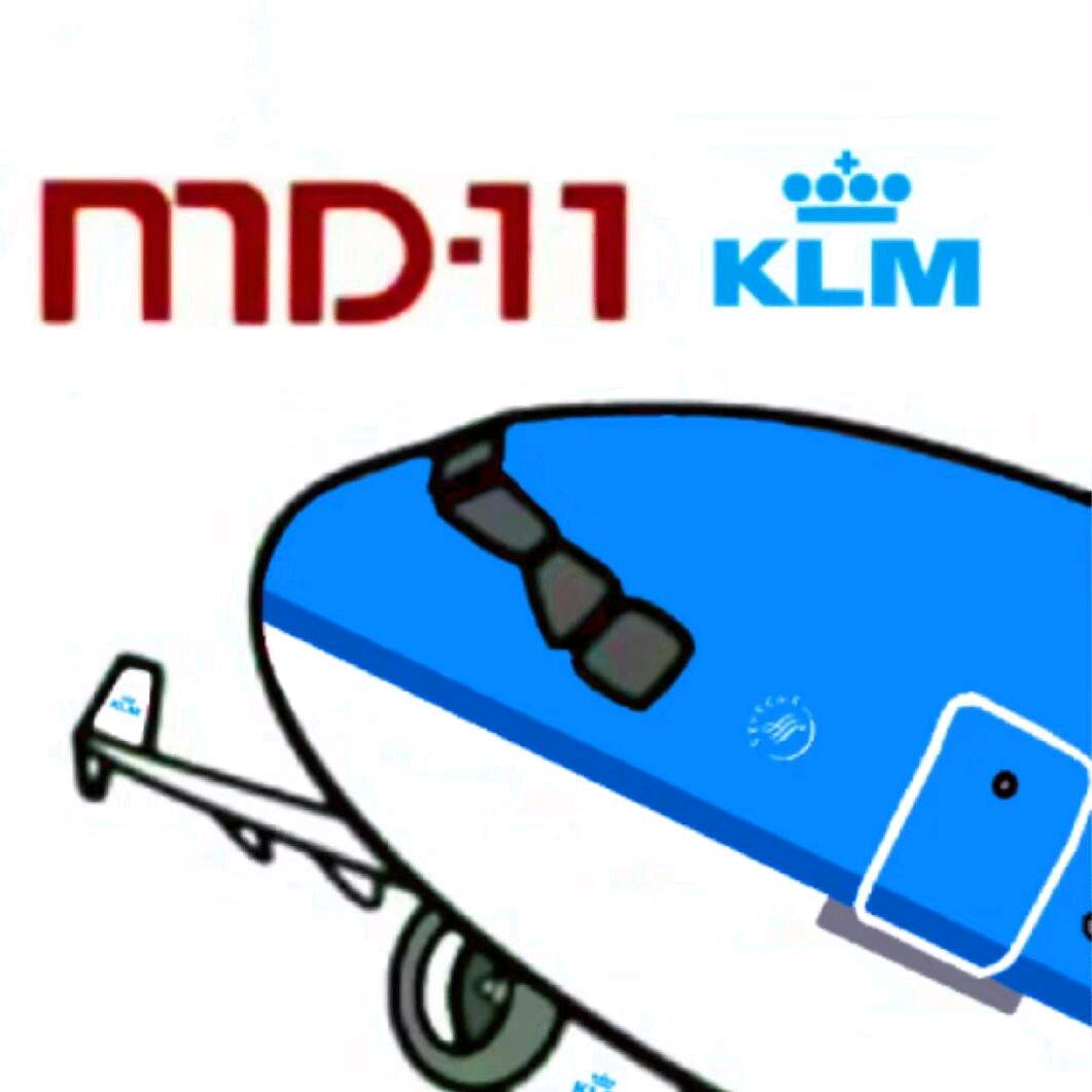 一架正在迫降的荷兰皇家航空MD11