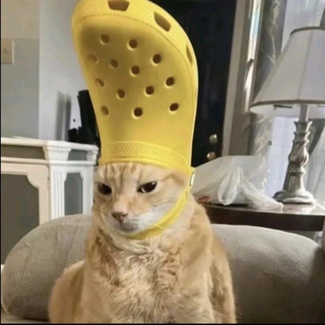 孟婆汤里加枸杞/•᷅ •᷄\୭