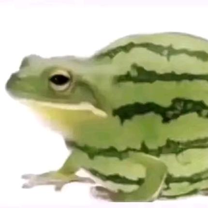 牛逼的美团骑手66