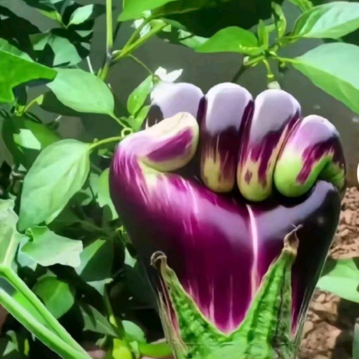 陪你浪迹天涯🍀