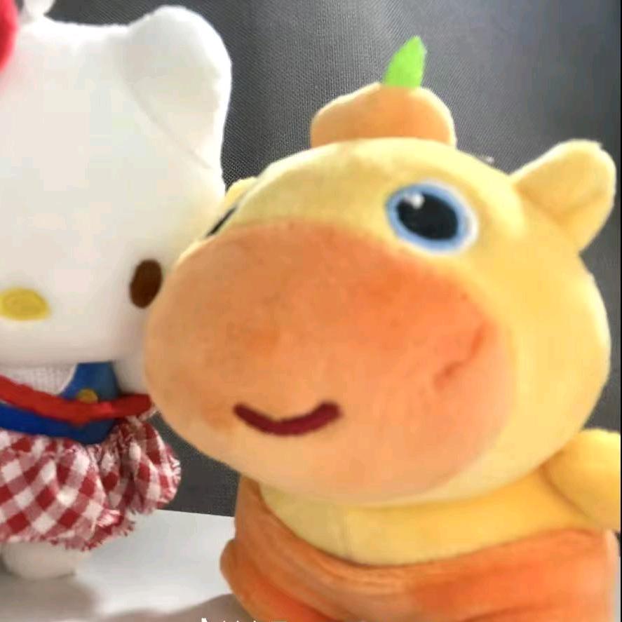 你懂我意思了吗