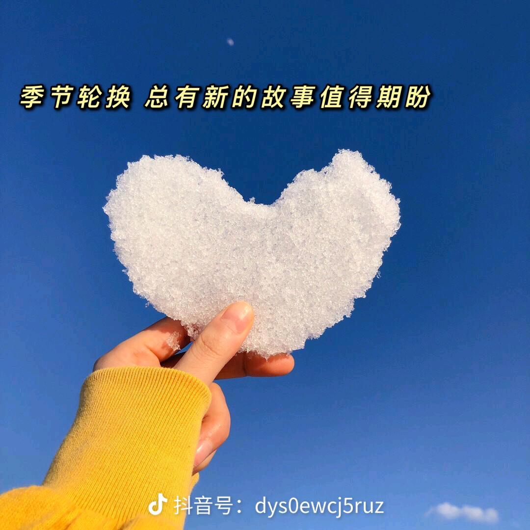 橙子- ̗̀(๑ᵔ⌔ᵔ๑)