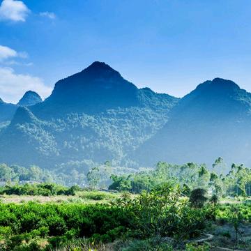 林青山庄