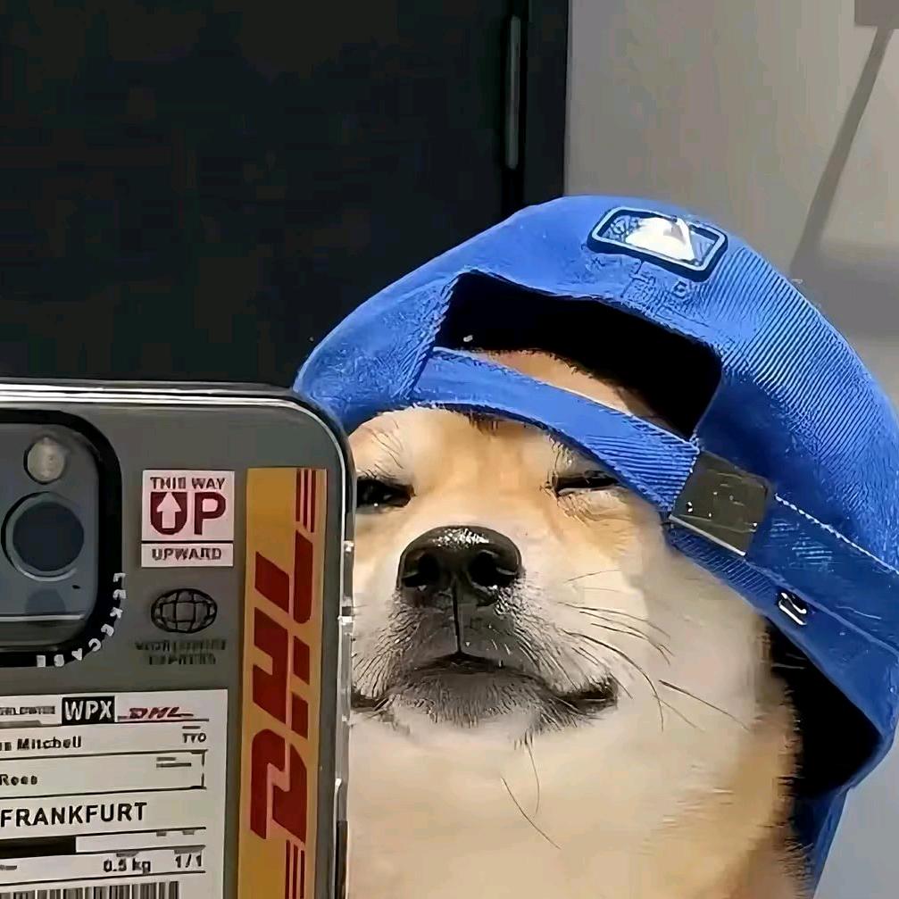 張賀