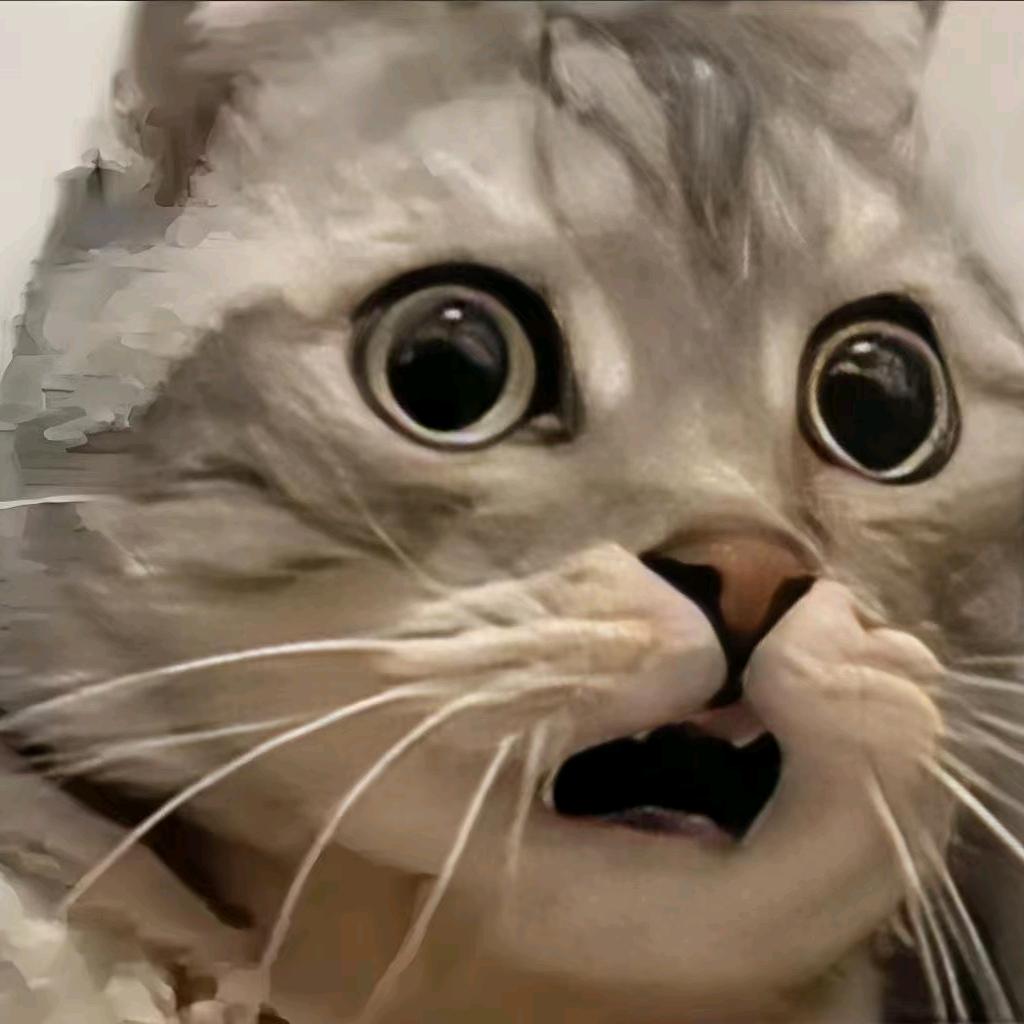 ？。
