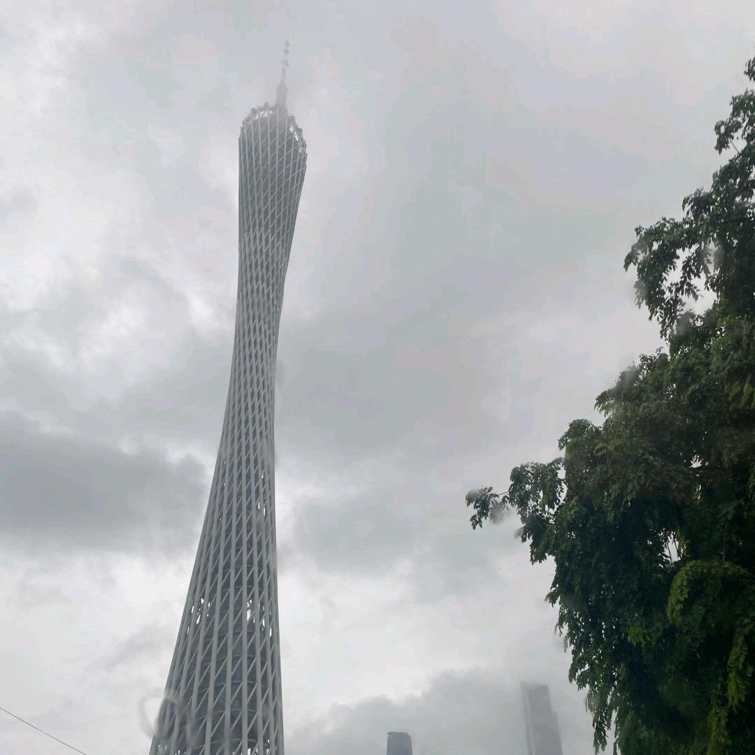 吻崽不懂你