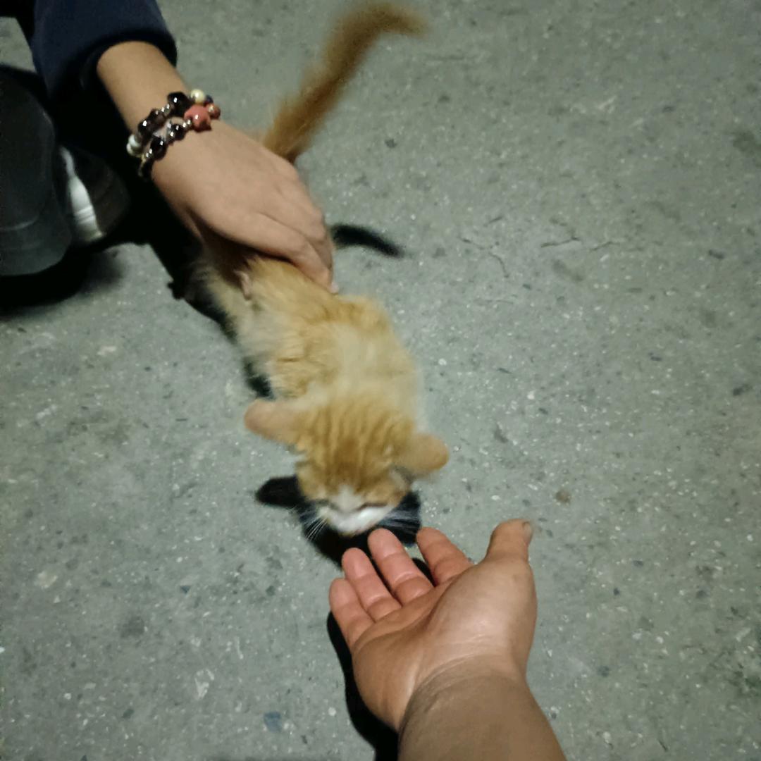 一切安好