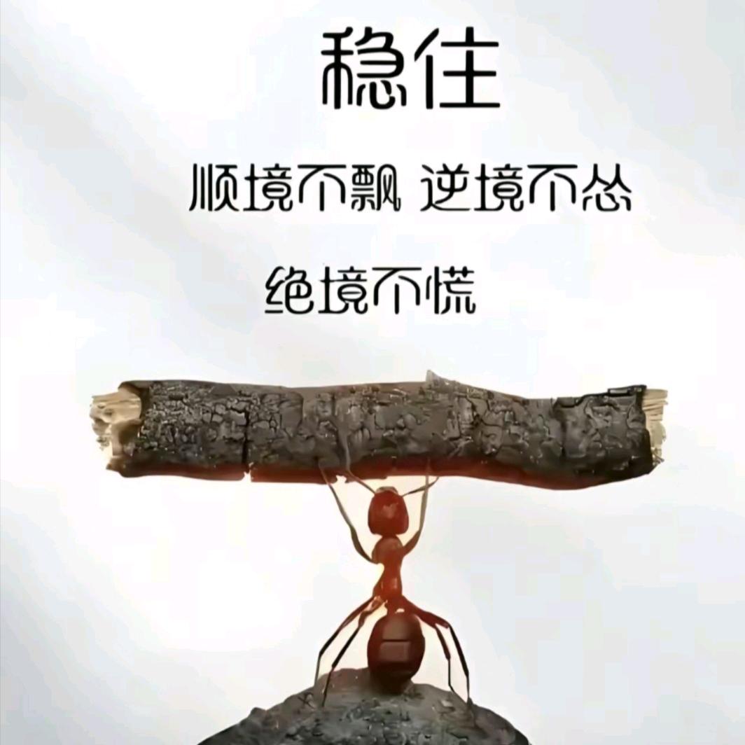 全屋定制汽车展厅装潢景观艺术，美缝，打胶