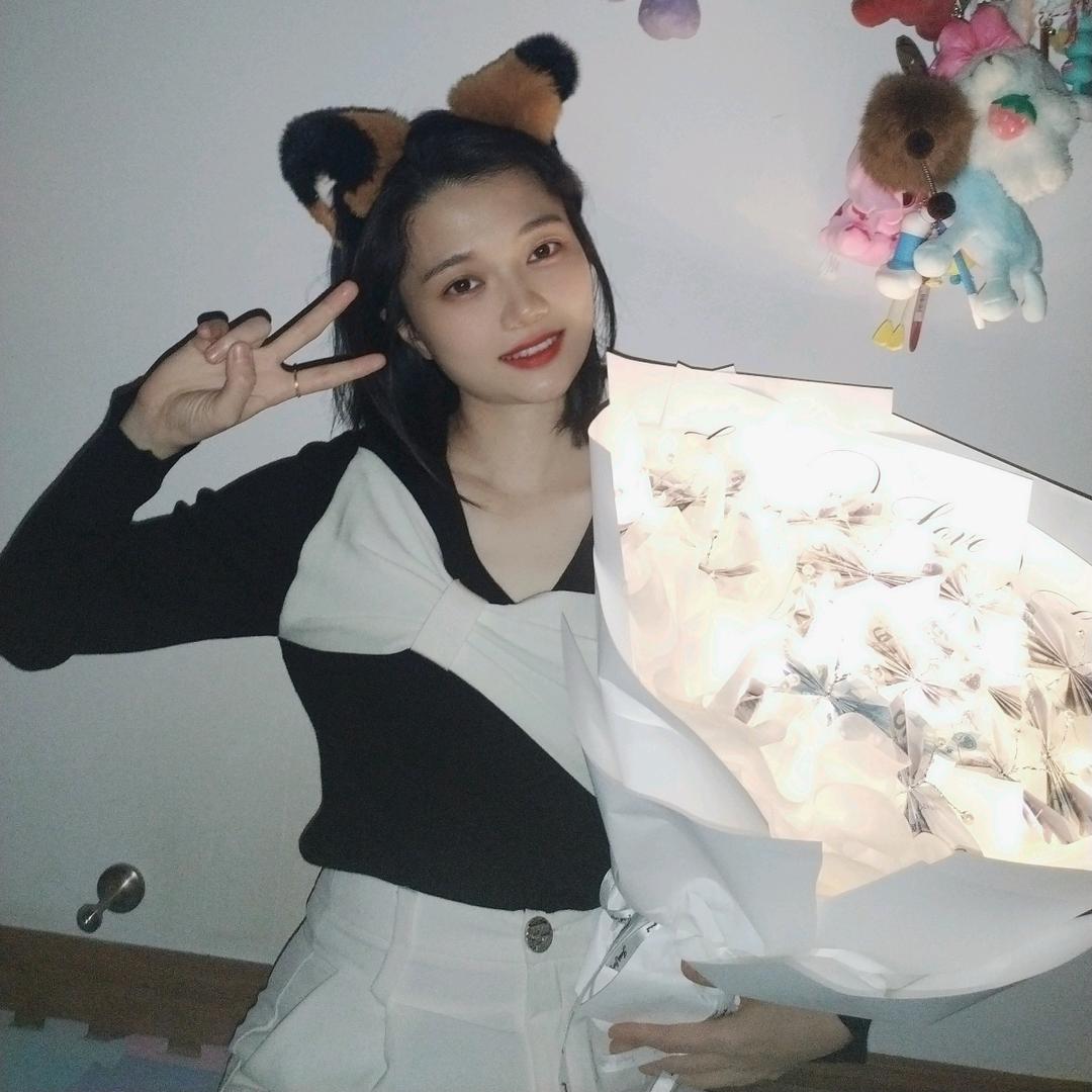 煤煤球