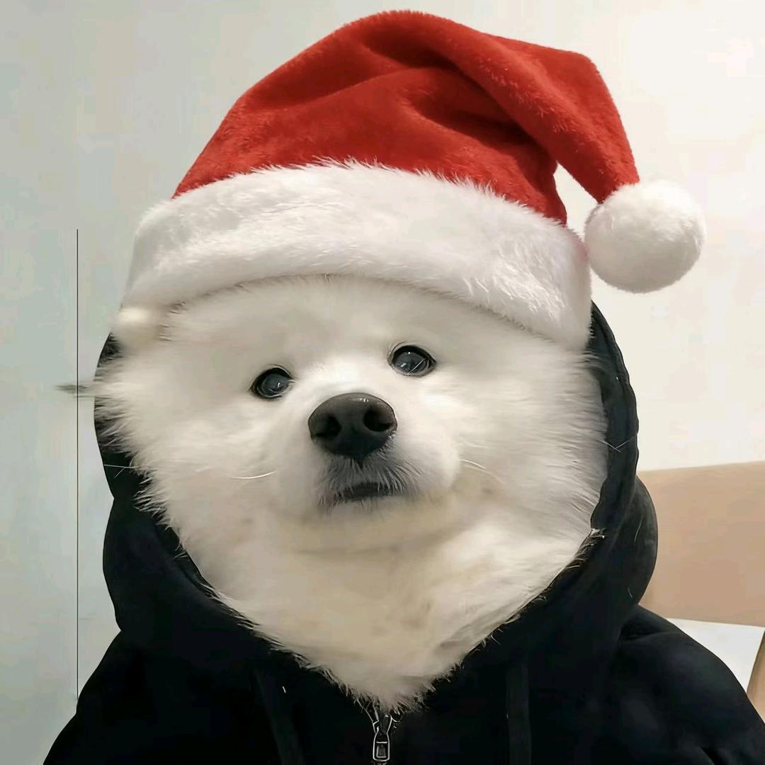 浅池星（期末版）