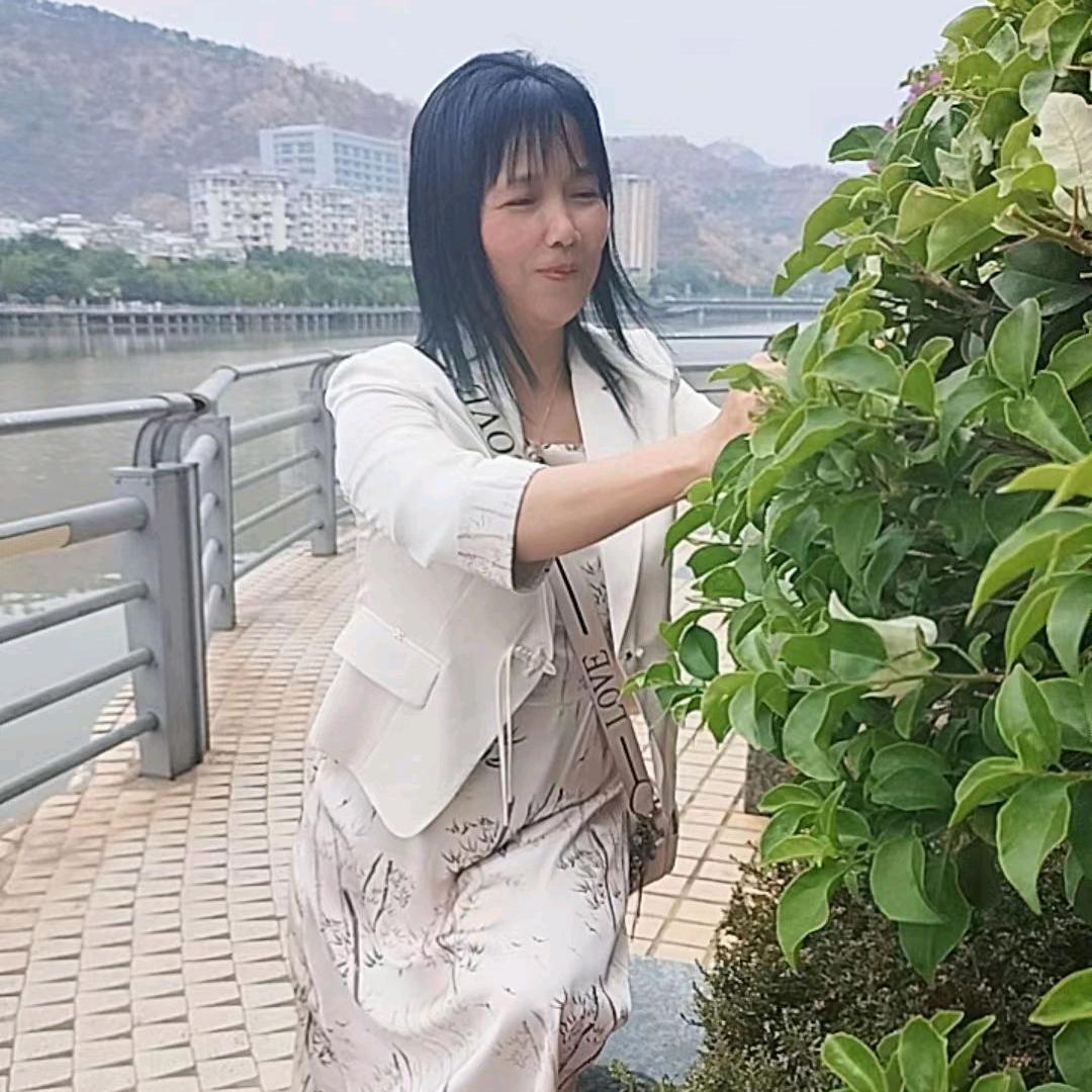 清心百荷