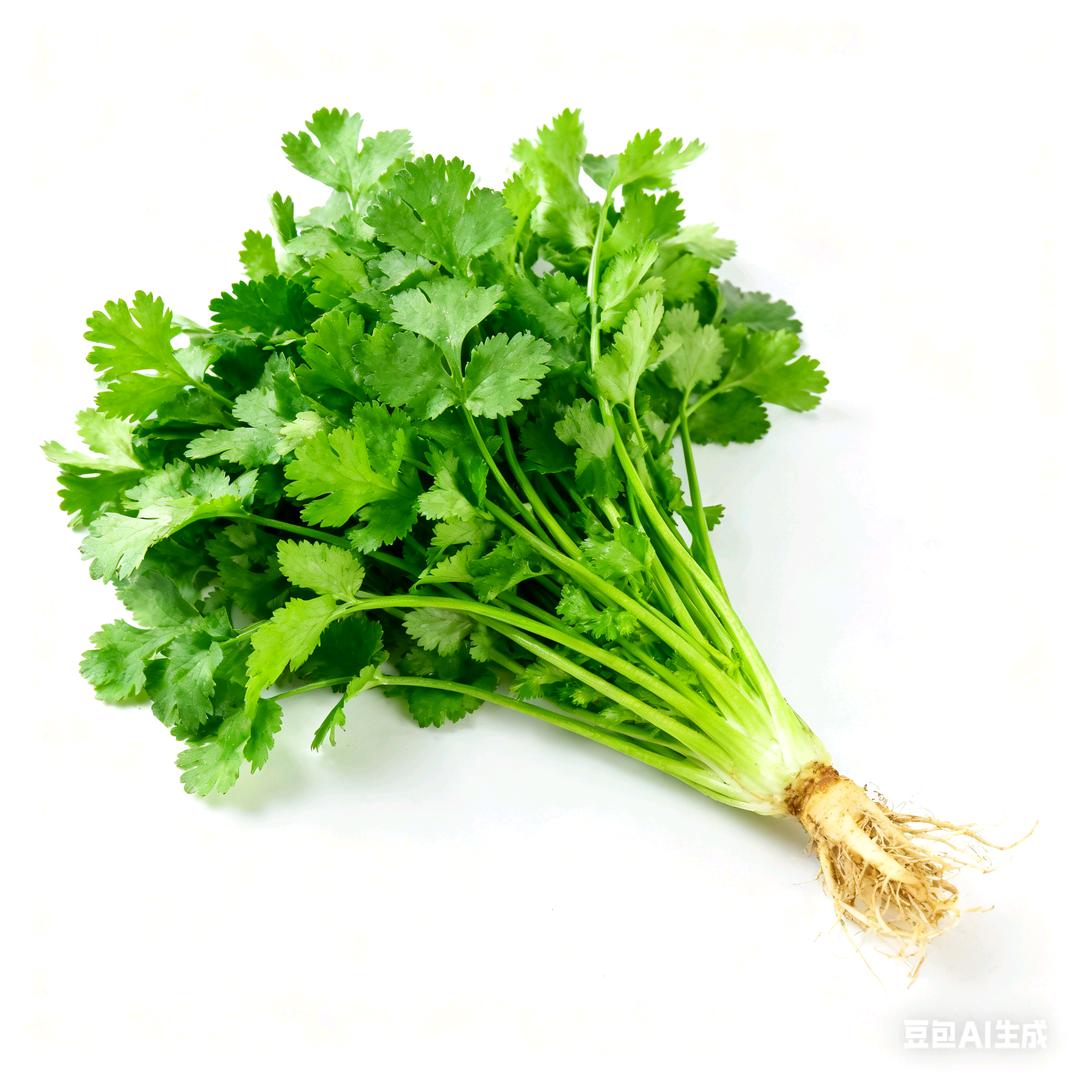 芫荽（恩师无尘染）