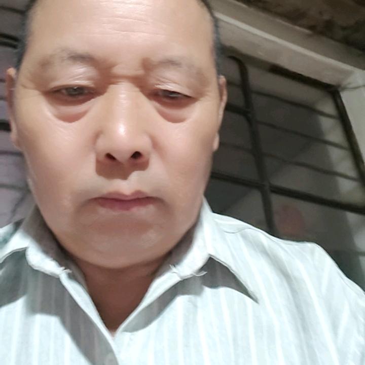 長青树