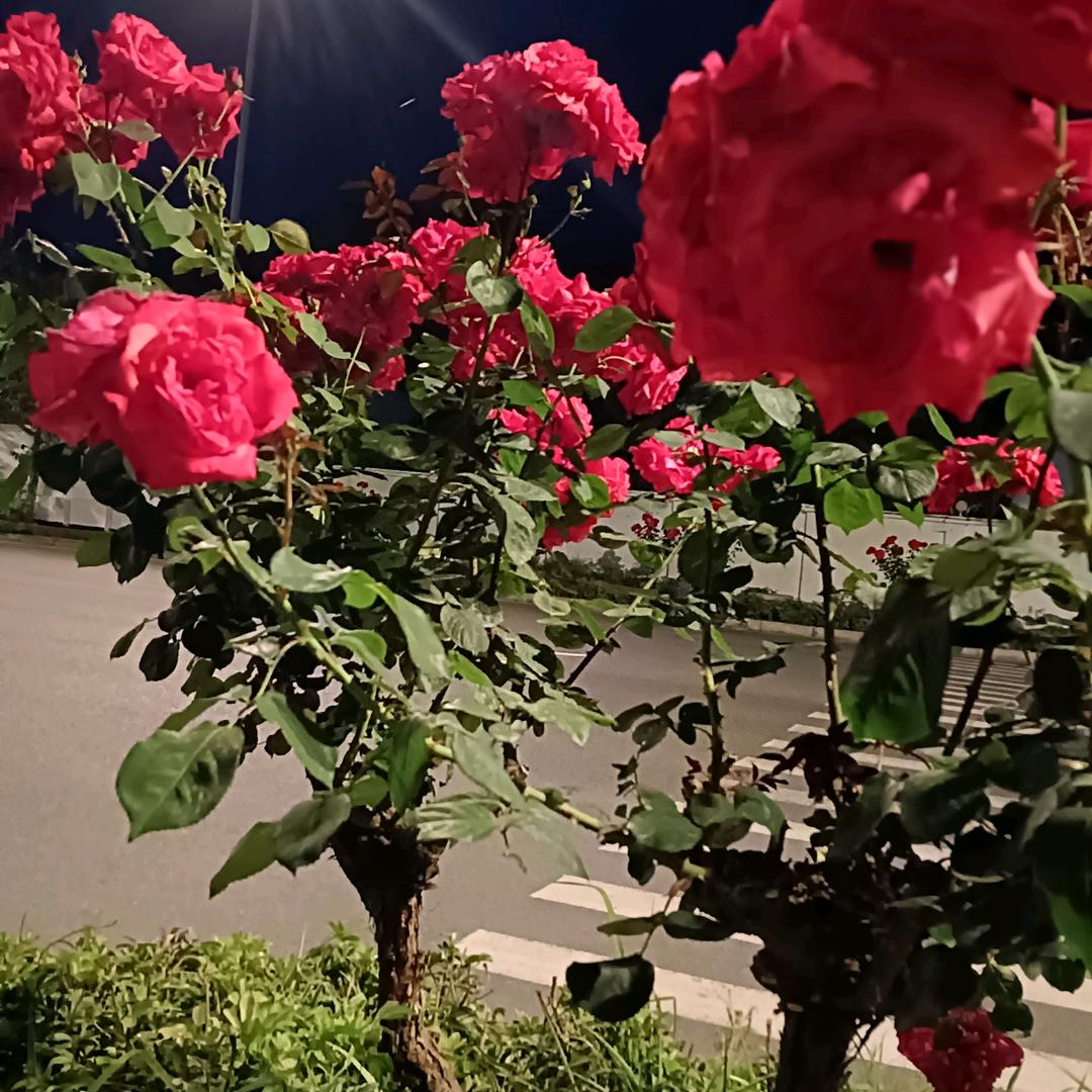 蓝蓝天