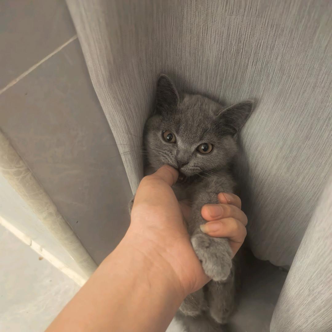 下饭菜